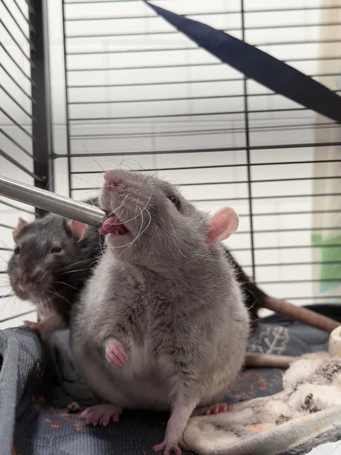 A story told in three pictures