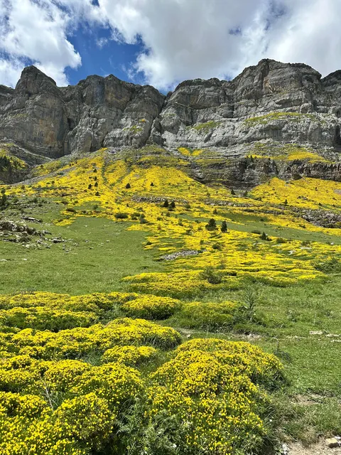 Just Chilling in the Nature (Spain)