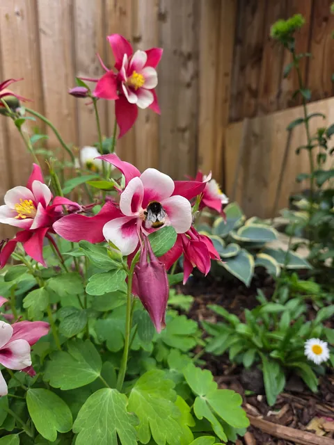 For the lovely soul who stole my photo, here are more.