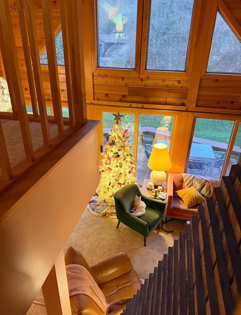 Over here just trying to keep my cats out of the tree. 🌲