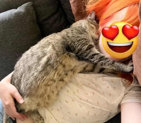 Nap trapped by my own cat