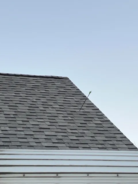 Mine roof hath been ARROW’D!!!