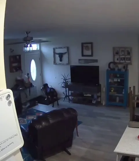 Dads not gonna be happy about the hole in the wall