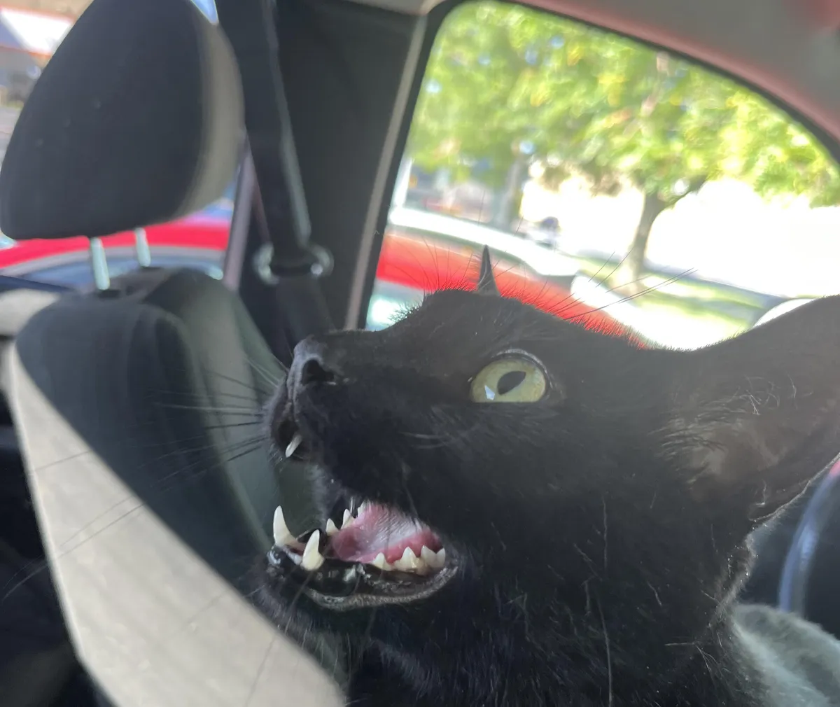 just got my void and im worried -seeking help