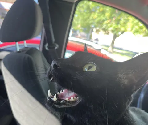 just got my void and im worried -seeking help