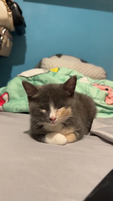 My new daughter❤️