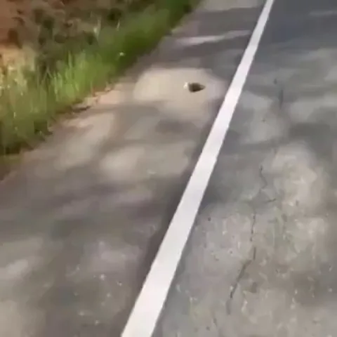 Helping a lost dude.