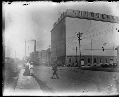 the dry plate negative saga continues