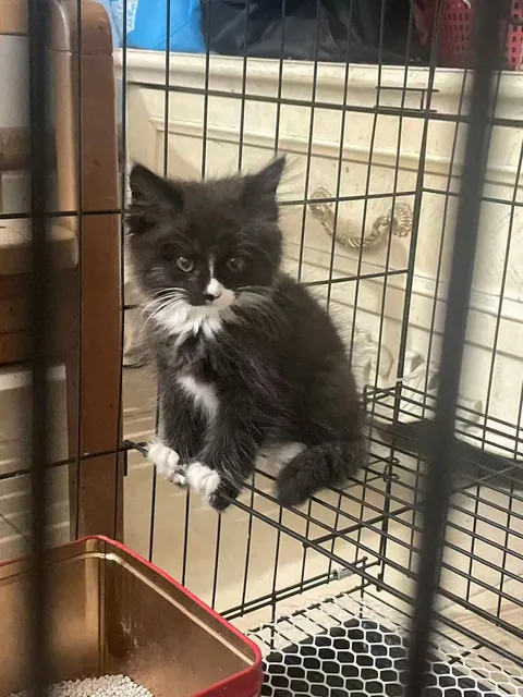 First day at home(5.19) ~Now (12.16)