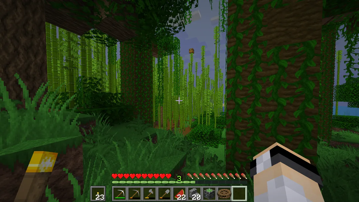 Started a new world and couldn't find my spawn chest and assumed I forgot to turn it on. About an hour later I see this: