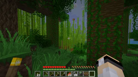 Started a new world and couldn't find my spawn chest and assumed I forgot to turn it on. About an hour later I see this: