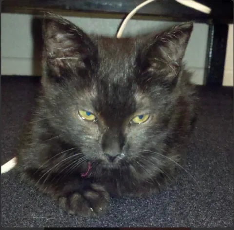 I’ll never stop loving you