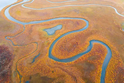 Winding River in Alaska [1200x799] [OC]