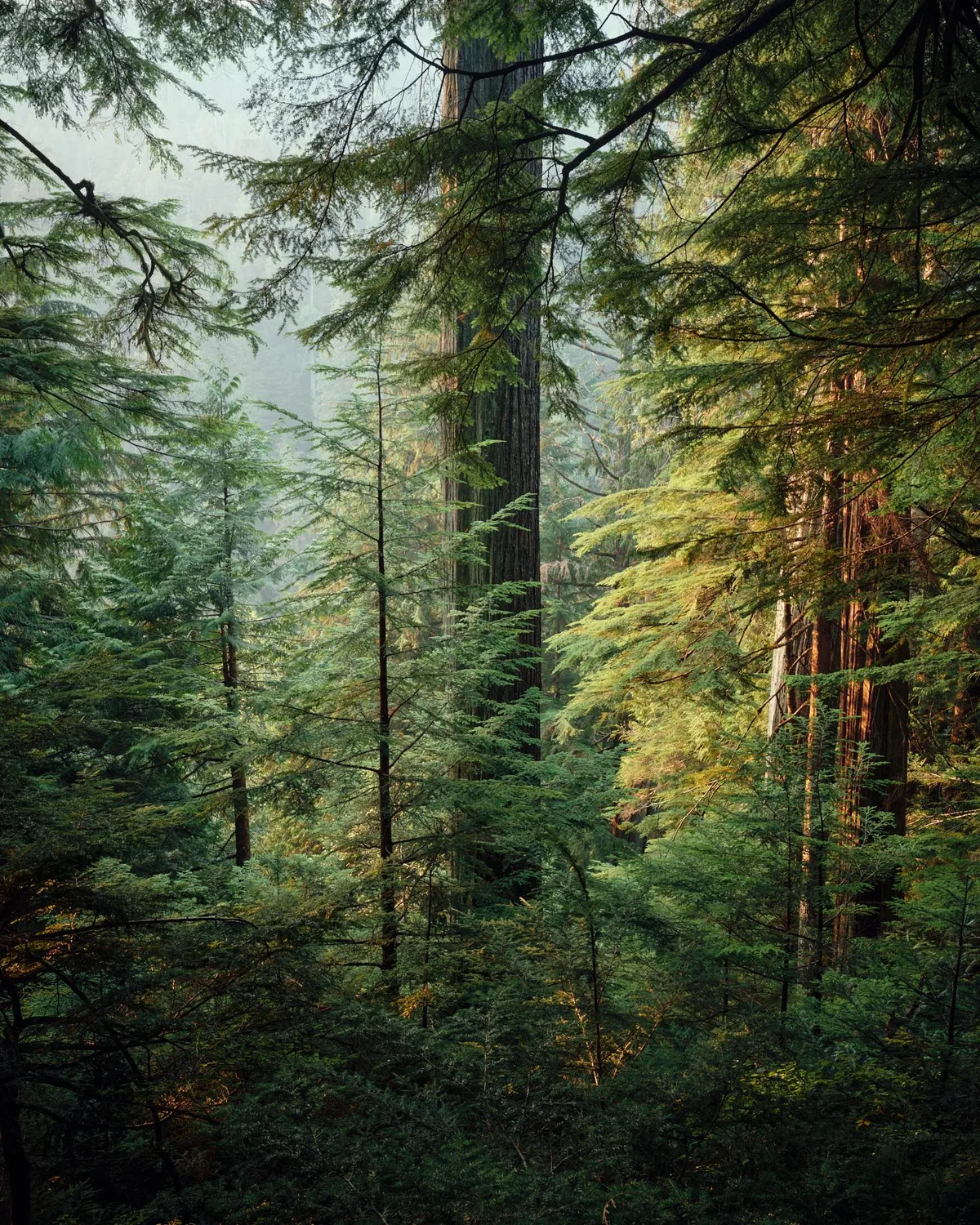 West Vancouver, Canada (1425x1900)(OC)