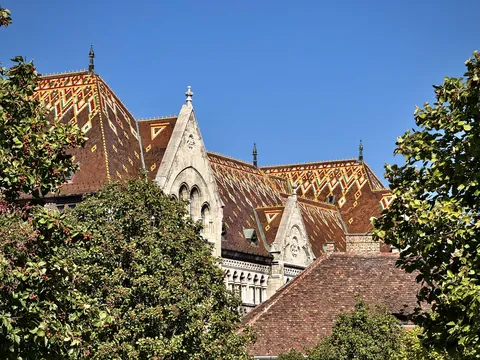 I love these tile roofs in Budapest.