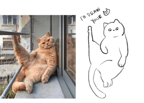 Hand over your cats! I’d like to draw them badly please