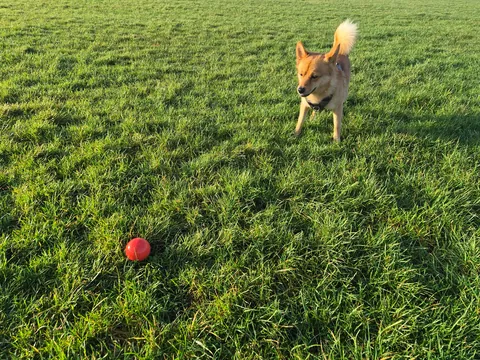 My bestest buddy Felix