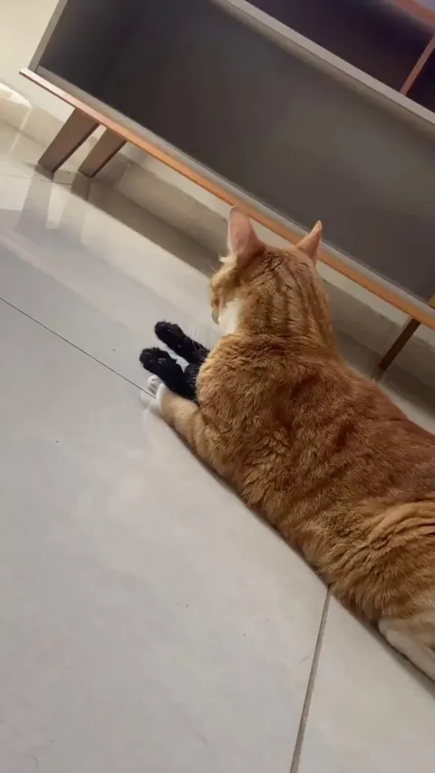 A victim of overflowing love