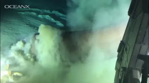 🔥OceanX footage of a deep-sea monster: the Bluntnose Sixgill Shark, it can grow up to 18ft (5.5m) and weigh over 1,300lbs (590kg)