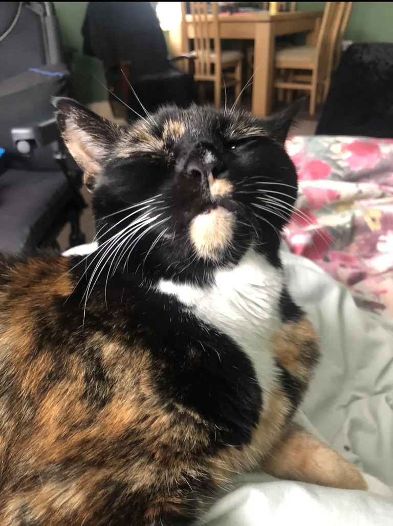 Adopted a 14 yr old girl who’s mostly chin 