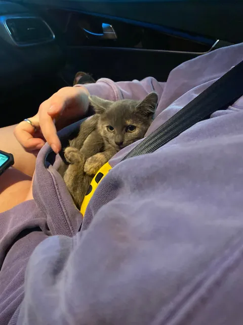 Found this stinky girl in a sonic parking lot 🥺💗