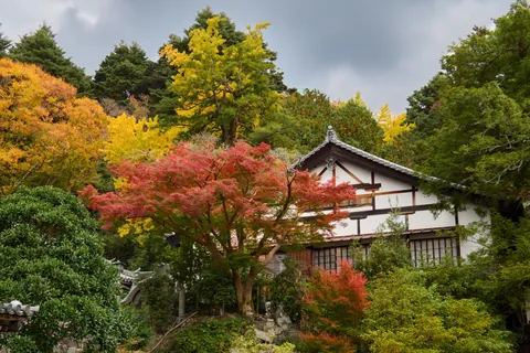 Autumn in Kansai, Japan