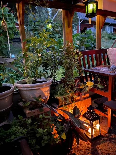 Post got removed, so I'll try again: autumn greenhouse nights w movies &amp; snacks