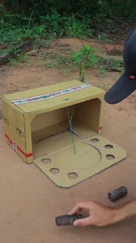 When we say bird brain this is what we mean 