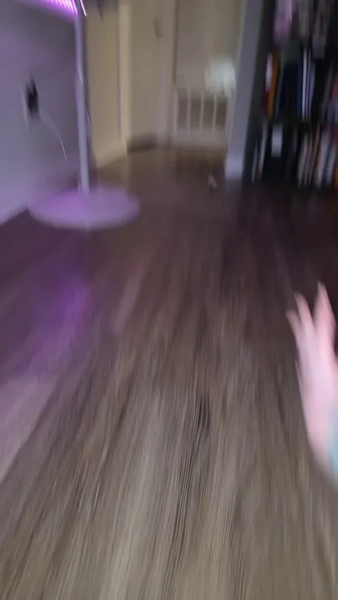 Pepper Jack Cheese joined my family 2 days ago. She plays fetch!