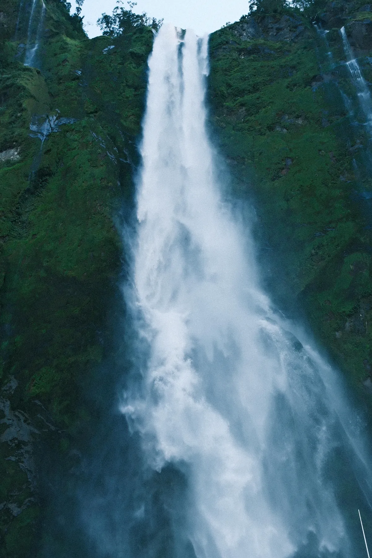 Traveling through New Zealand: Milford and Doubtful Sound