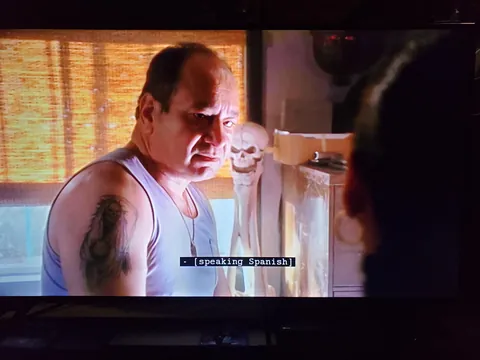 When subtitles don't actually reveal what is being spoken.