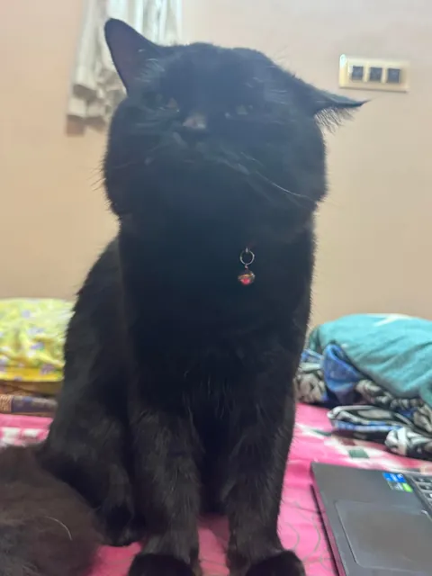 First Time Posting Him