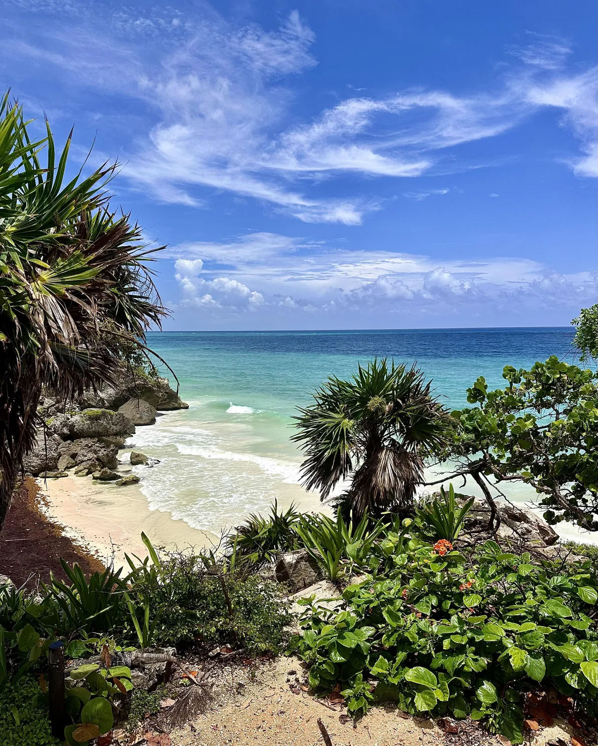 Beautiful view found while exploring the Tulum Ruins, Mexico - August 2024 [OC] [3019×3764]