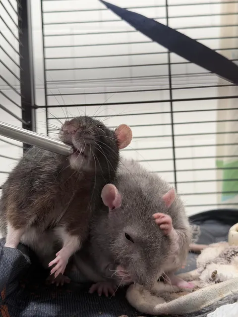 A story told in three pictures