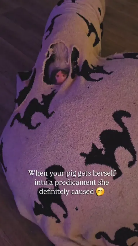 "I seem to be in a predicament"