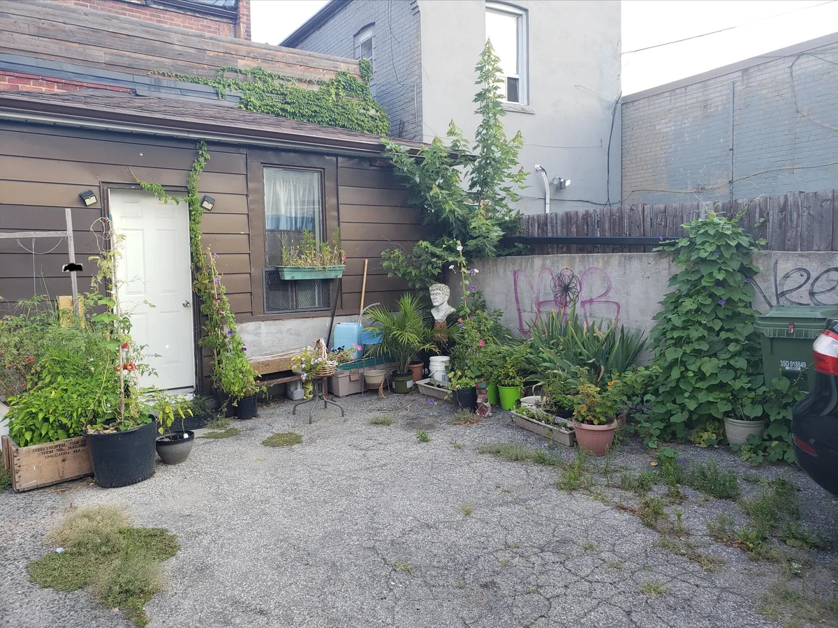 My urban garden. Its not much, but when I moved in 2 years ago it was basically just asphalt