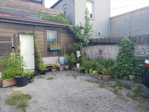 My urban garden. Its not much, but when I moved in 2 years ago it was basically just asphalt