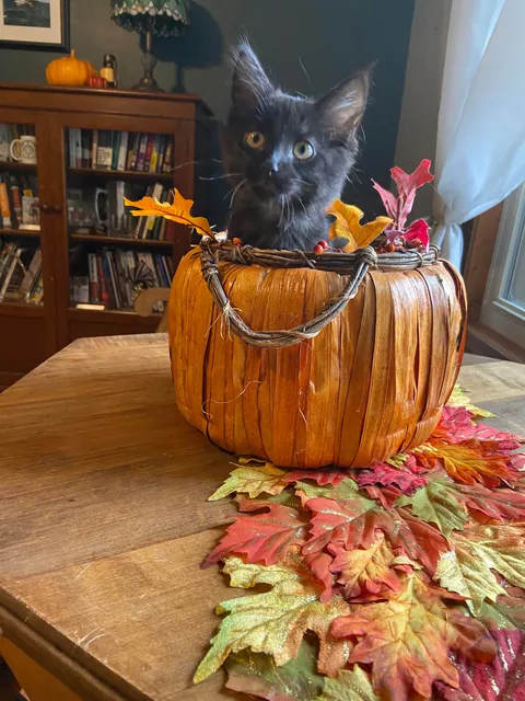 How it started...how it's going