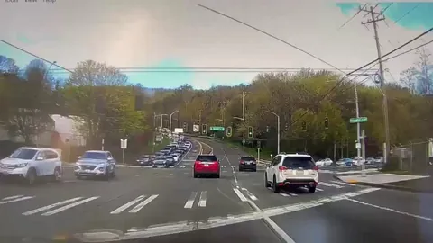Fucknuckle in a tesla decides to skip traffic and nearly causes head-on collision
