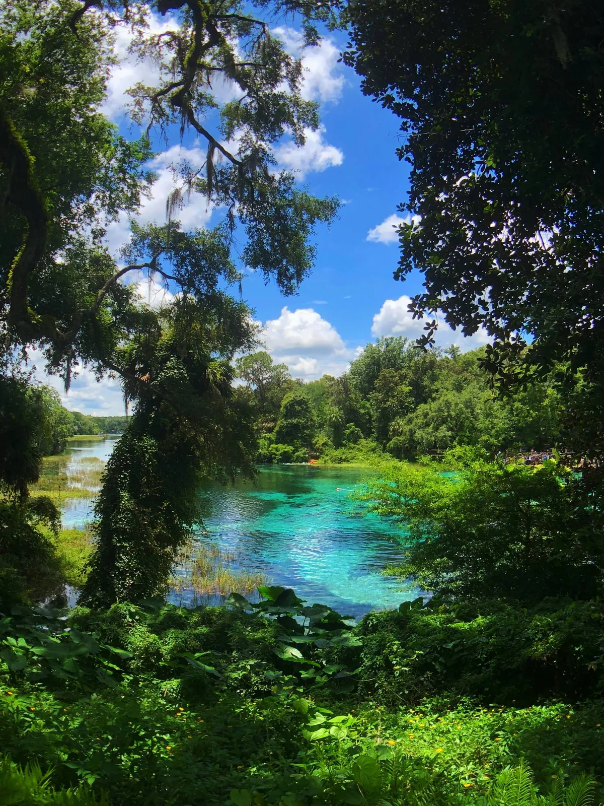 Rainbow Springs, Florida