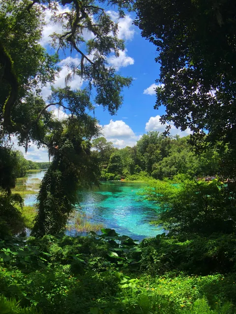 Rainbow Springs, Florida