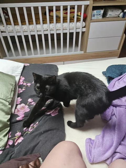 I'm stuck in hospital for few more days, can I please ask for some cheer up pics?