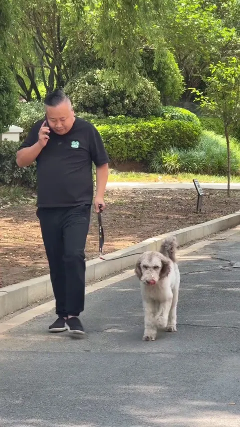 Small dogs are little demons 😂