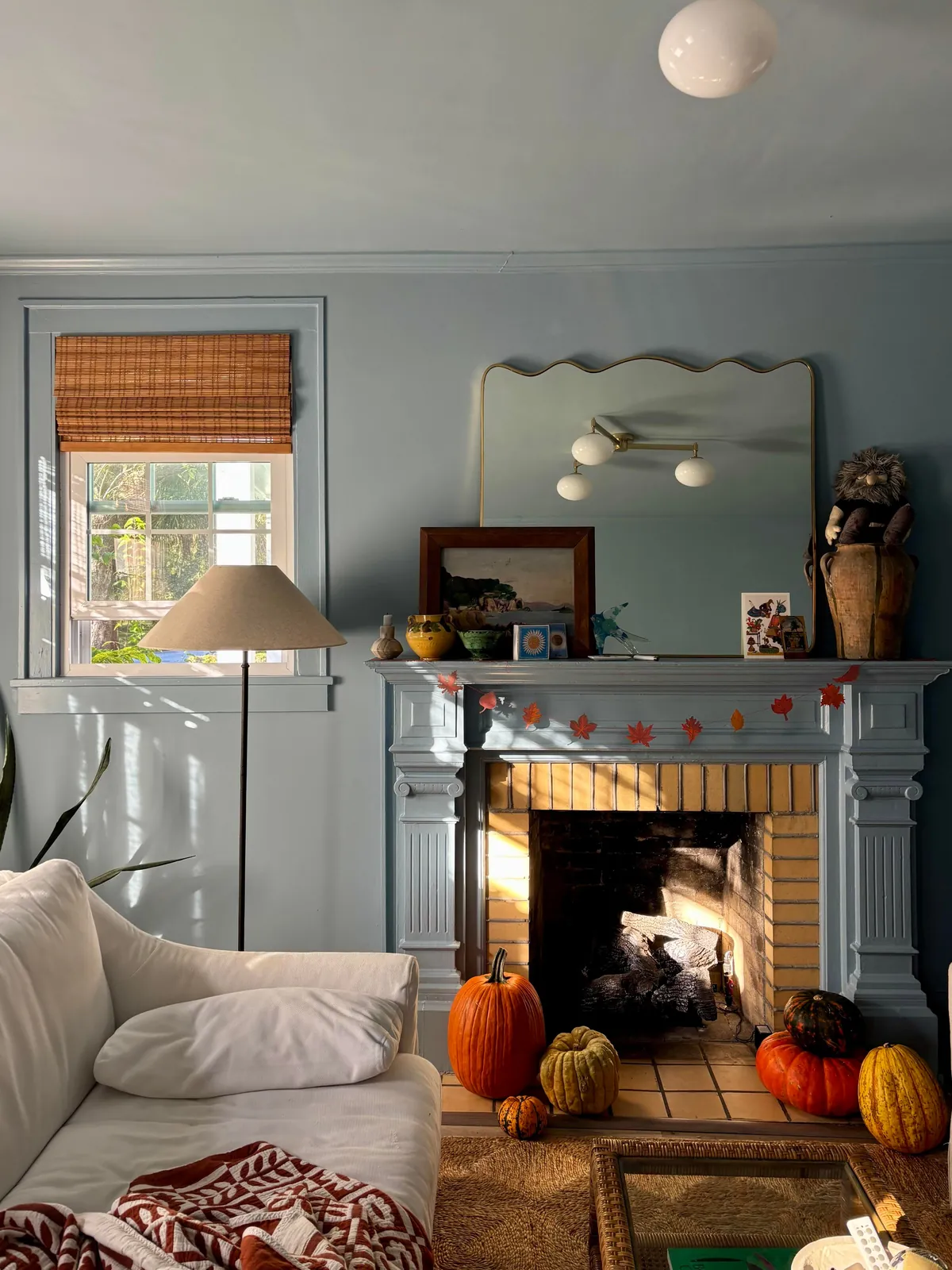 George is having a cozy fall 🐱