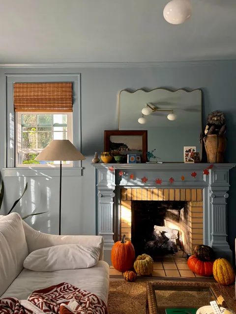 George is having a cozy fall 🐱