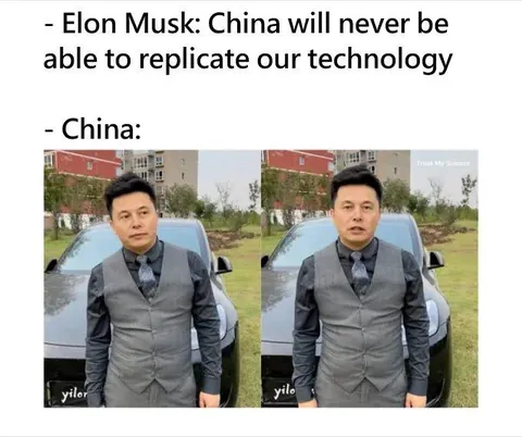 Is Elon musk of Asian descent?