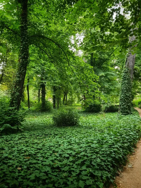This cozy dreamy park in the middle of Madrid