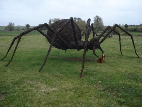 PsBattle: Giant willow spider sculpture