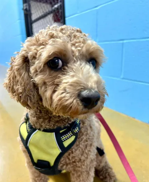 My side eye iz perfect 