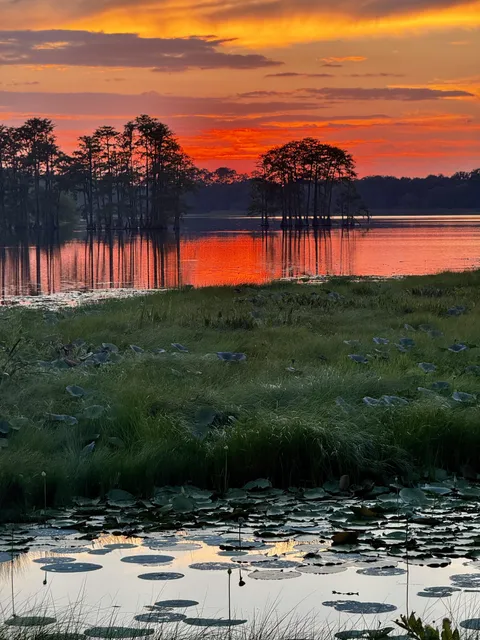 🔥Colorful evening sky over a Florida lake